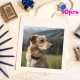 10個のカスタム写真トートバッグ - ご自身のアートワークを入れた個性的なキャンバスバッグ - 子供の絵画、母の日ギフトに最適 - 手洗い可能なポリエステル、開閉式デザインなし